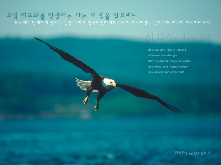 3e10eecac28308085128dc6a5cb50577_1489879